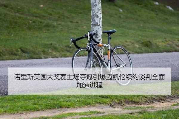 诺里斯英国大奖赛主场夺冠引爆迈凯伦续约谈判全面加速进程 - yaxin